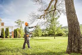 Seasonal Cleanup in Horicon, WI